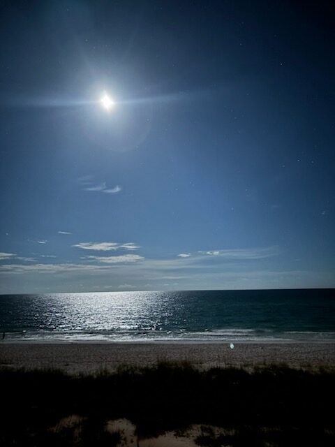 Coastal Life - Moonlight on the Emerald Coast.